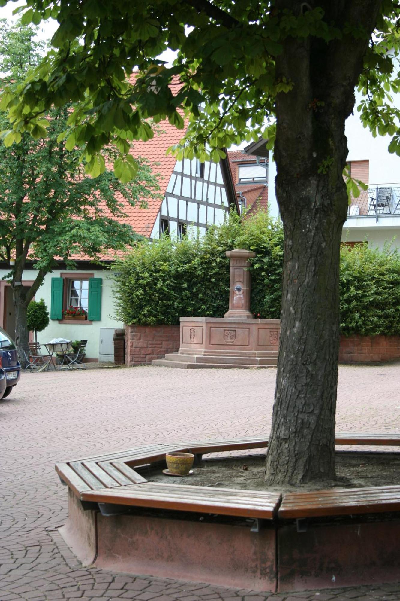 Landhotel Sickinger Hof Walldorf  Exterior photo